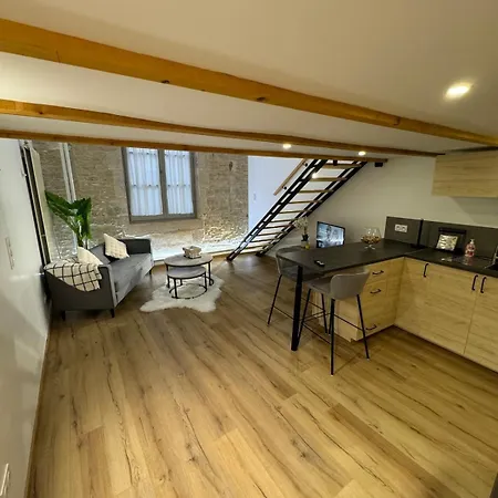 Apartment Duplex Place Du Theatre Centre Dijon