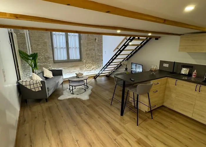 アパート Duplex Place Du Theatre Centre ディジョン