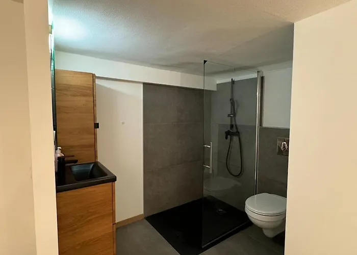 Duplex Place Du Theatre Centre ディジョン